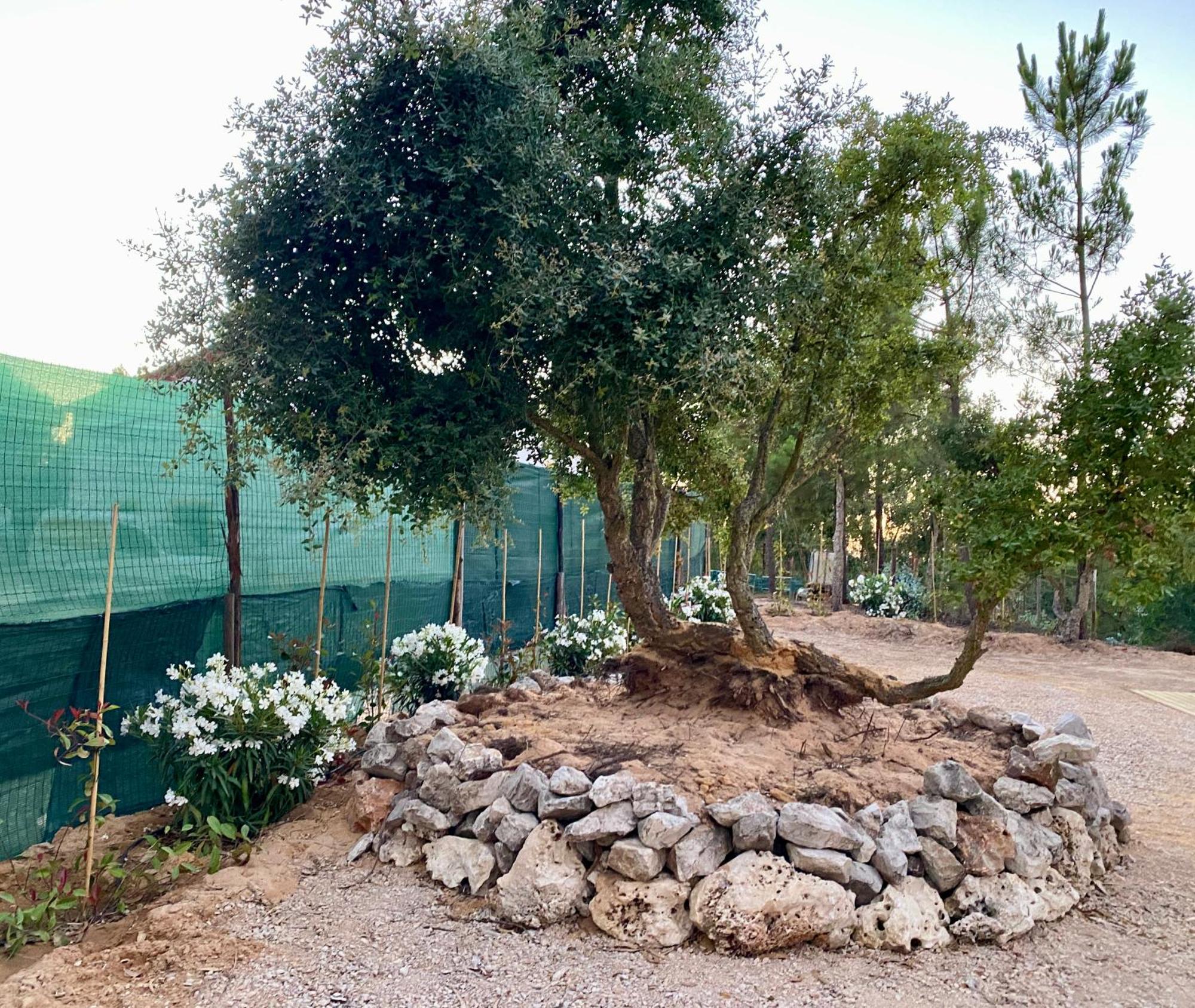 Hostal Montum Farm Living Melides Exterior foto